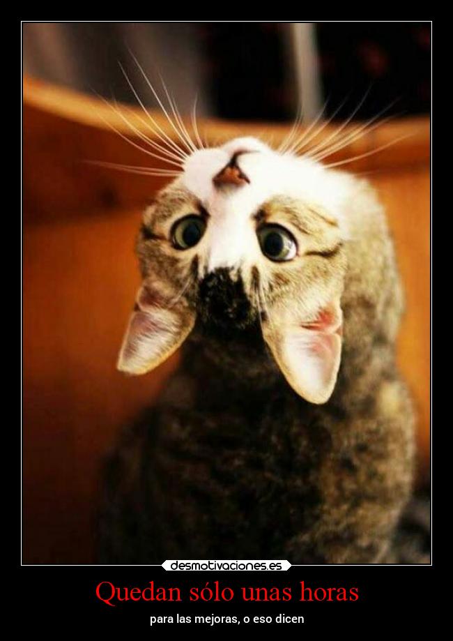 carteles vida alegria desmotivaciones mortals desmotivaciones