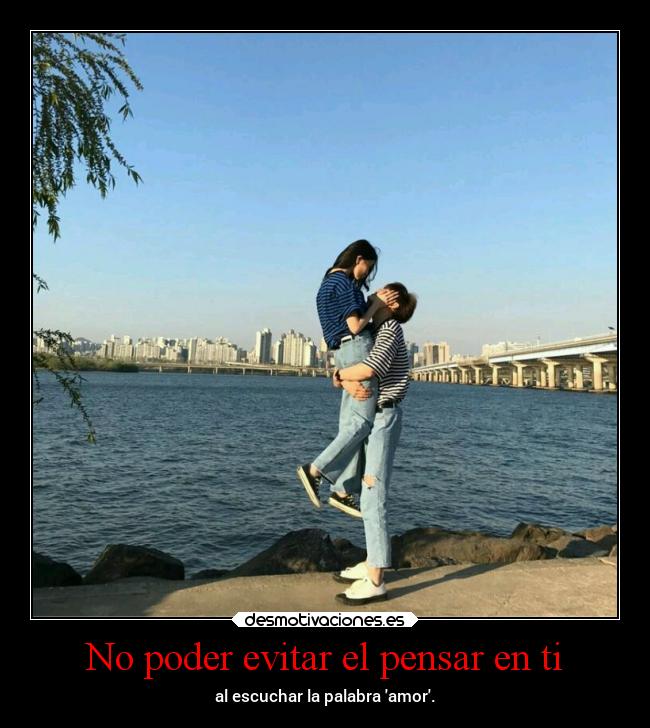 carteles vida amor aishiterumago fairymago projectd desmotivaciones