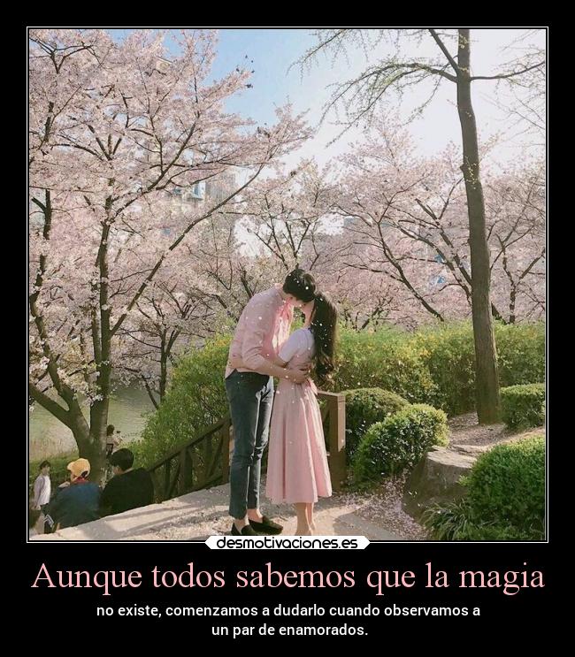 Aunque todos sabemos que la magia - 