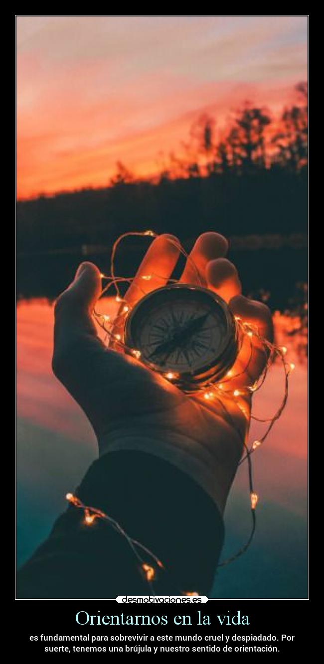 Orientarnos en la vida - 