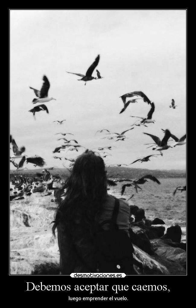 Debemos aceptar que caemos, - luego emprender el vuelo.