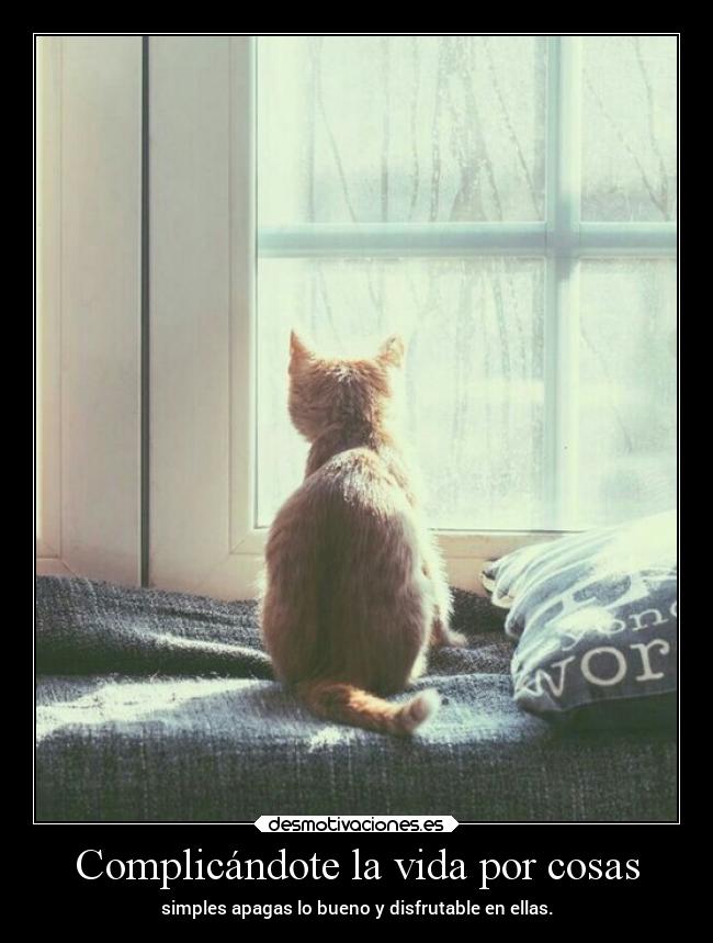 carteles vida vida cosas complicar bueno mipropiouniverso desmotivaciones