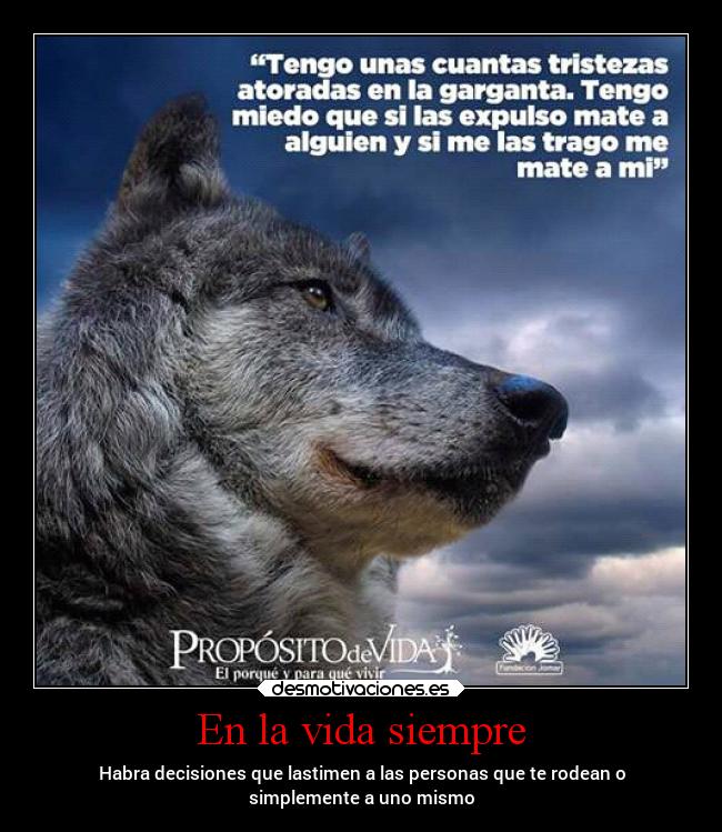 carteles vida vida decisiones desmotivaciones