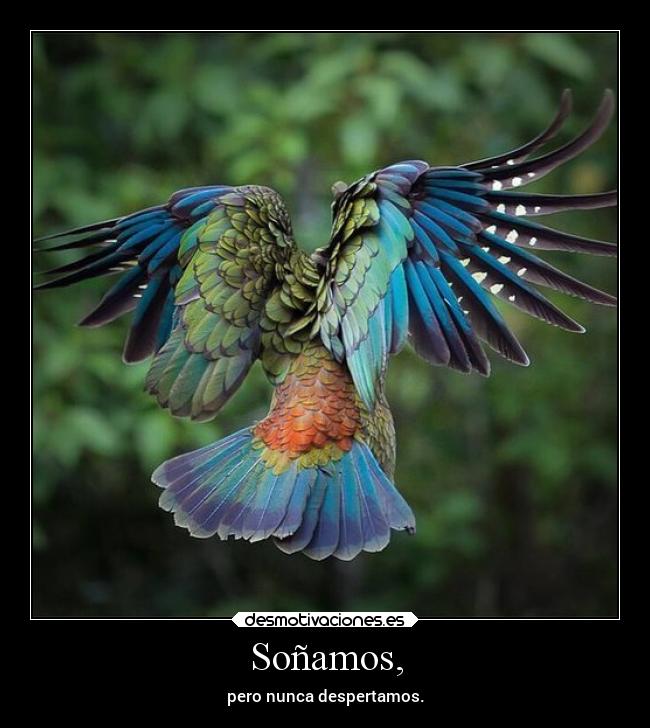 carteles vida desmo pastime metafora gordossinfronteras dulcedeleche desmotivaciones