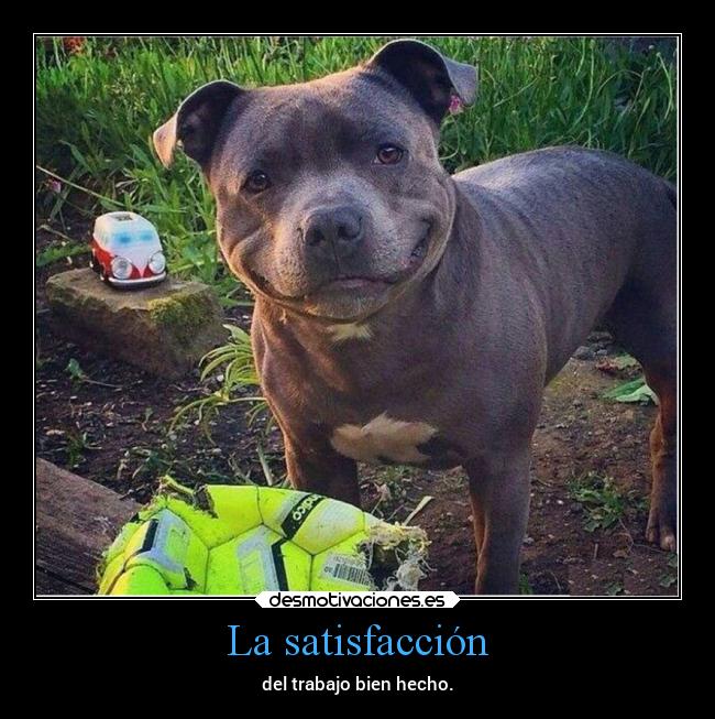 carteles vida felicidad futbol trabajo balon numhub99 travesuras travieso desmotivaciones