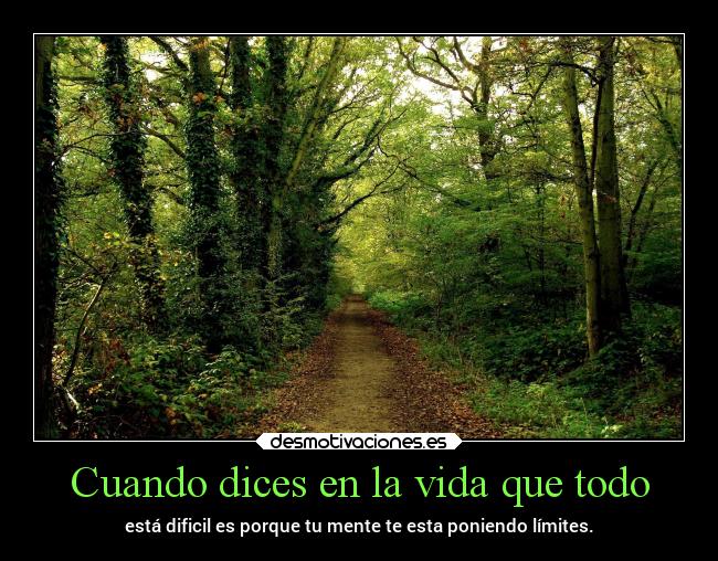 carteles vida vida frases caminos complicaciones todo esta enla mente chopper igbt bosque desmotivaciones