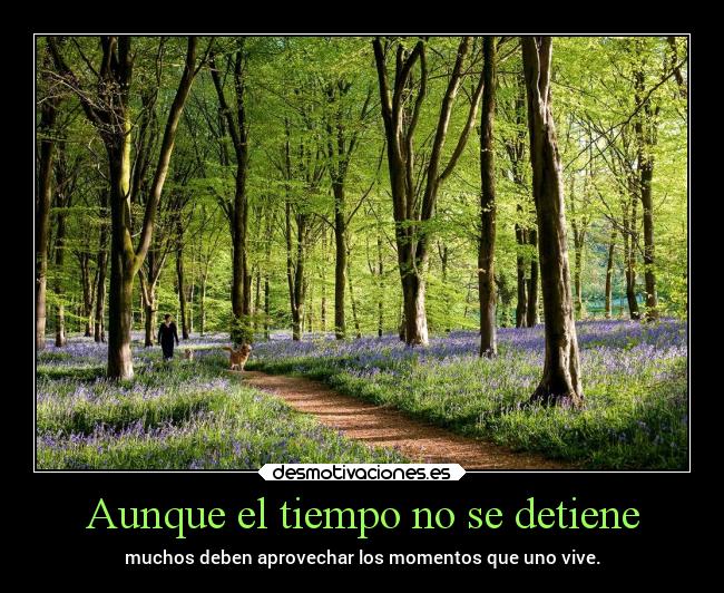 Aunque el tiempo no se detiene - 