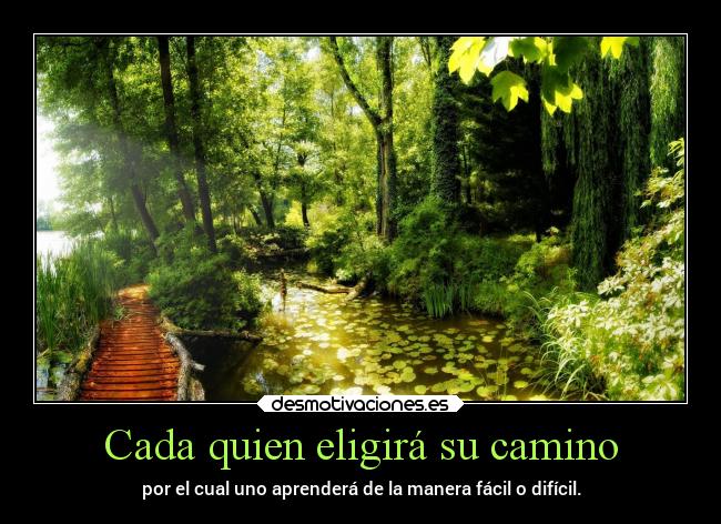 Cada quien eligirá su camino - 