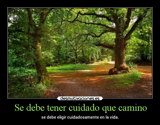 Se debe tener cuidado que camino - 