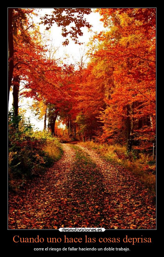 carteles vida frases epocas felices amarillo pero naranja otono chopper igbt bosques desmotivaciones