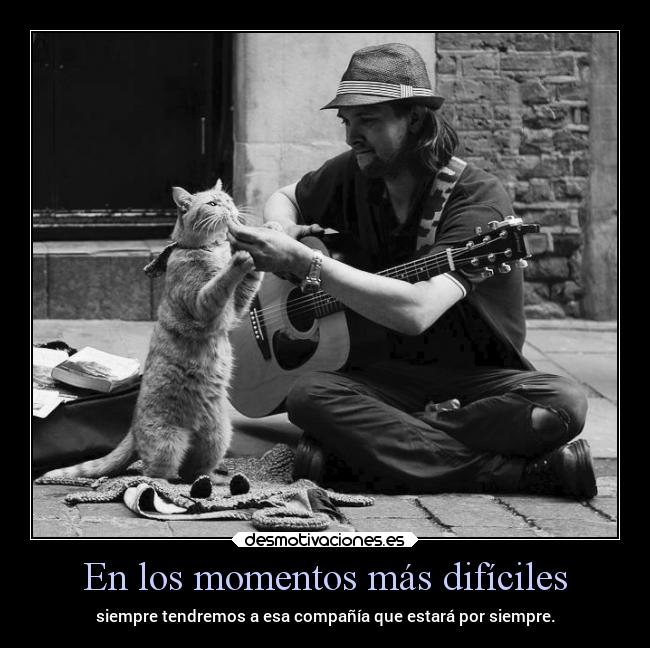 carteles vida frases gatos amor fieles carino peores momentos alex vazquez999 eternalblue desmotivaciones