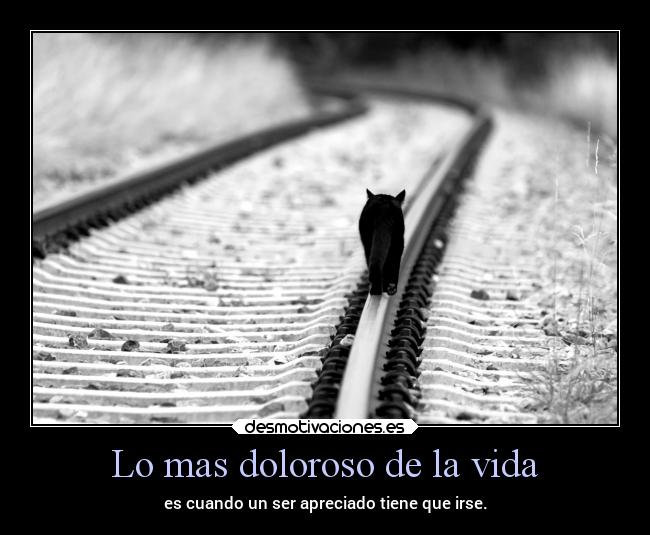 carteles vida vida frases tristeza gatos desaparecer trenes alex vazquez999 eternalblue desmotivaciones