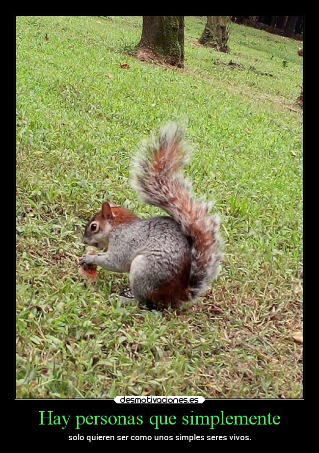 Hay personas que simplemente - 