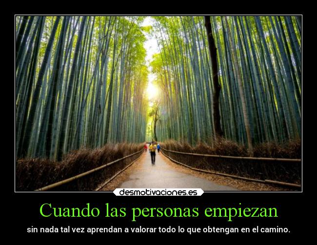 carteles vida frases logros camino hacia eel exito chopper igbt bosque desmotivaciones