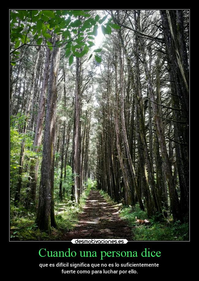 carteles vida frases cosas chopper igbt bosque desmotivaciones