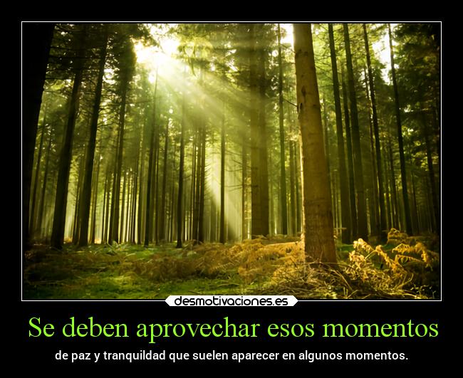 carteles vida frases vacias chopper igbt bosque paz tranquilidad desmotivaciones