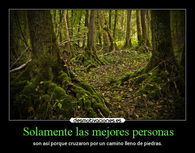 Solamente las mejores personas -