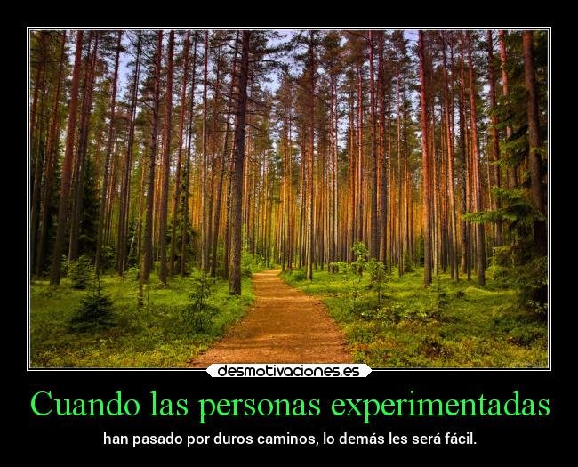 Cuando las personas experimentadas -