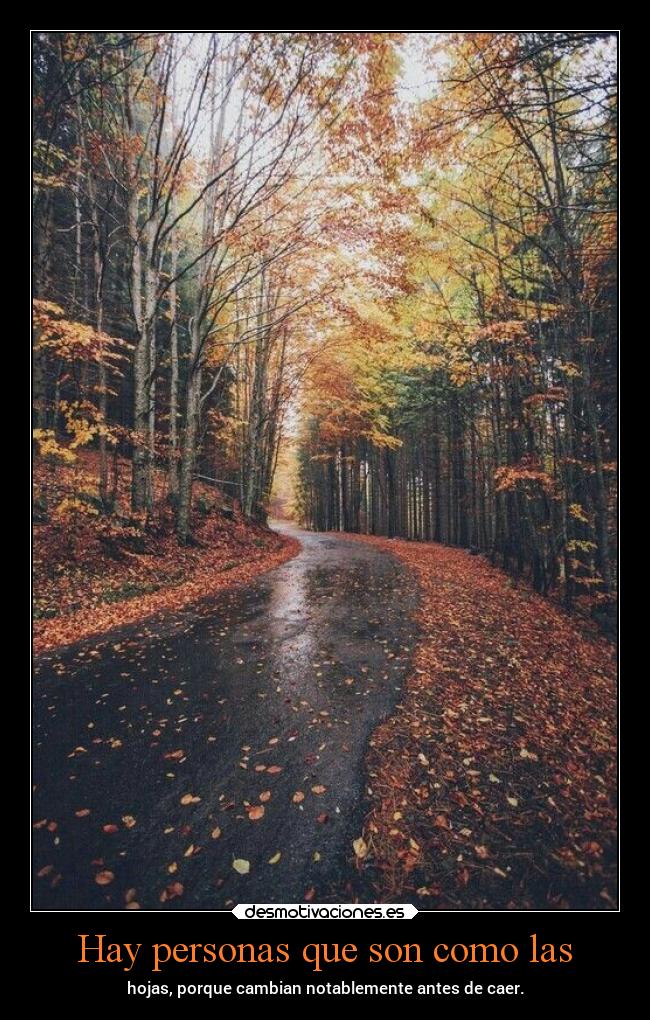 Hay personas que son como las -