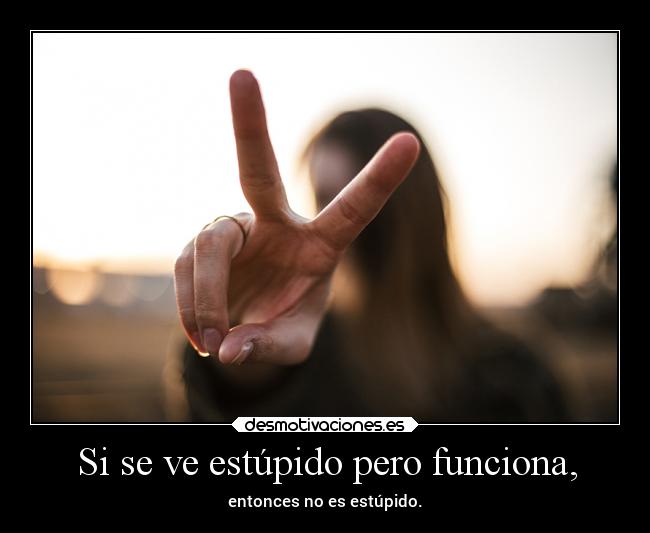 Si se ve estúpido pero funciona, - entonces no es estúpido.