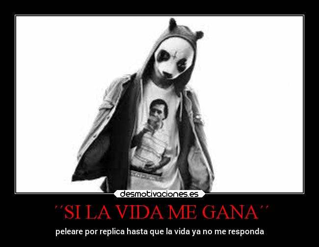 carteles vida vida marionobros locosdeamor anine rap laalianzarebelde bien mdsm mario desmotivaciones