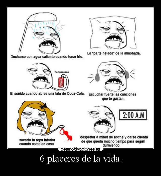 6 placeres de la vida. -