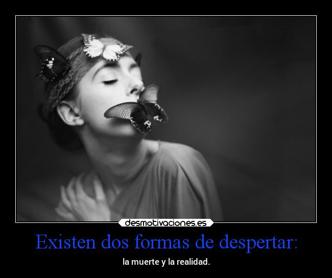 carteles vida muerte ideas pensamientos mels desmotivaciones