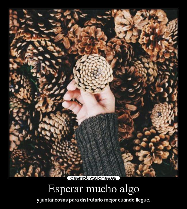 Esperar mucho algo -