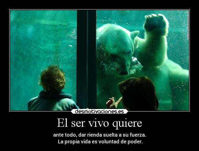 El ser vivo quiere - ante todo, dar rienda suelta a su fuerza.
La propia vida es voluntad de poder.