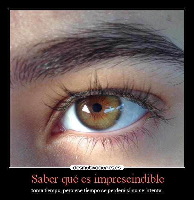Saber qué es imprescindible -