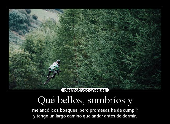 Qué bellos, sombríos y -