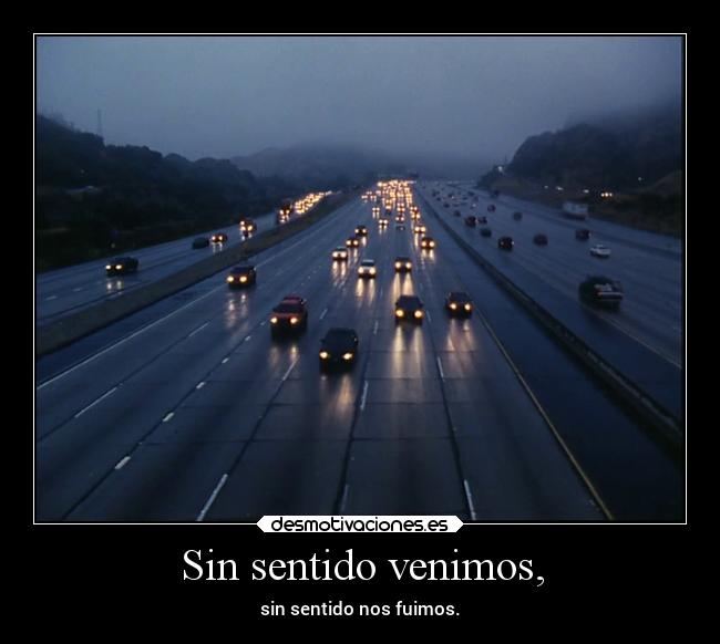Sin sentido venimos, - sin sentido nos fuimos.