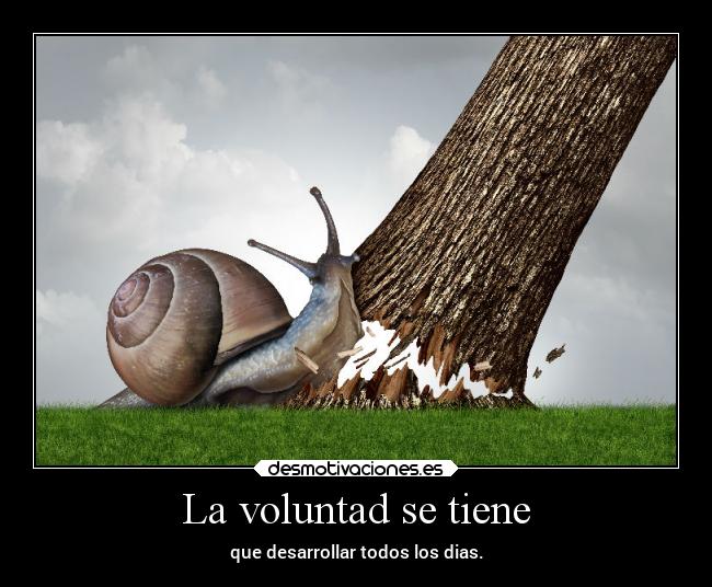 La voluntad se tiene - que desarrollar todos los dias.