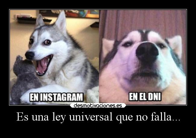 Es una ley universal que no falla... - 