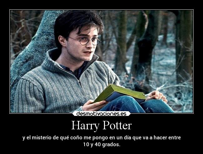 Harry Potter -