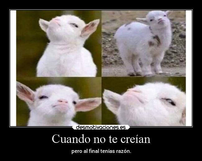 carteles alegria desmotivaciones