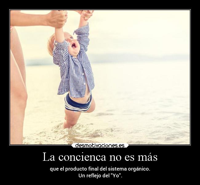 La concienca no es más - que el producto final del sistema orgánico.
Un reflejo del Yo.