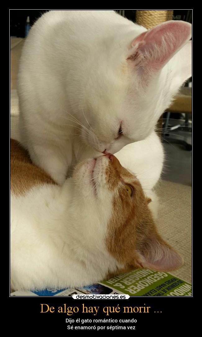 carteles amor desmotivaciones