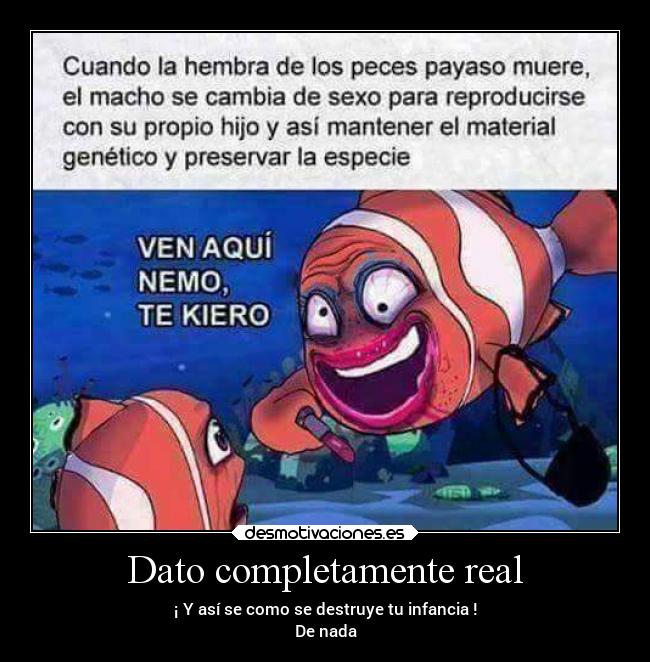 Dato completamente real - ¡ Y así se como se destruye tu infancia !
De nada