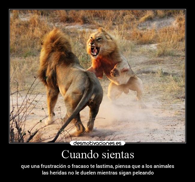 Cuando sientas - que una frustración o fracaso te lastima, piensa que a los animales
las heridas no le duelen mientras sigan peleando