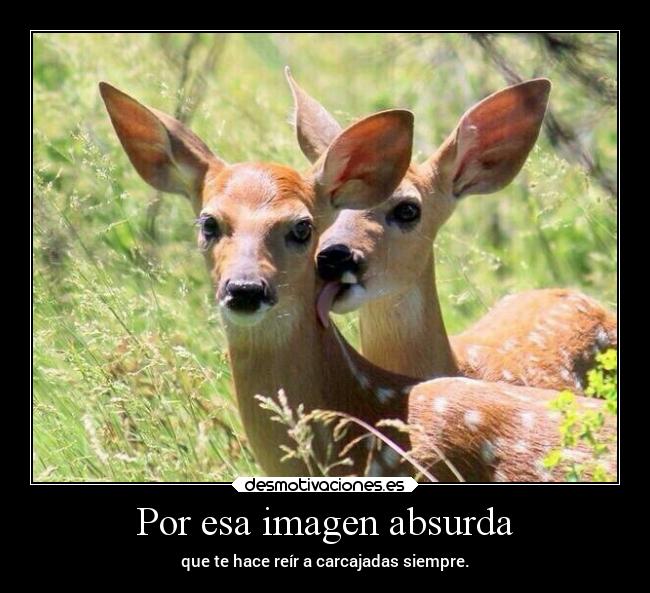 Por esa imagen absurda - que te hace reír a carcajadas siempre.