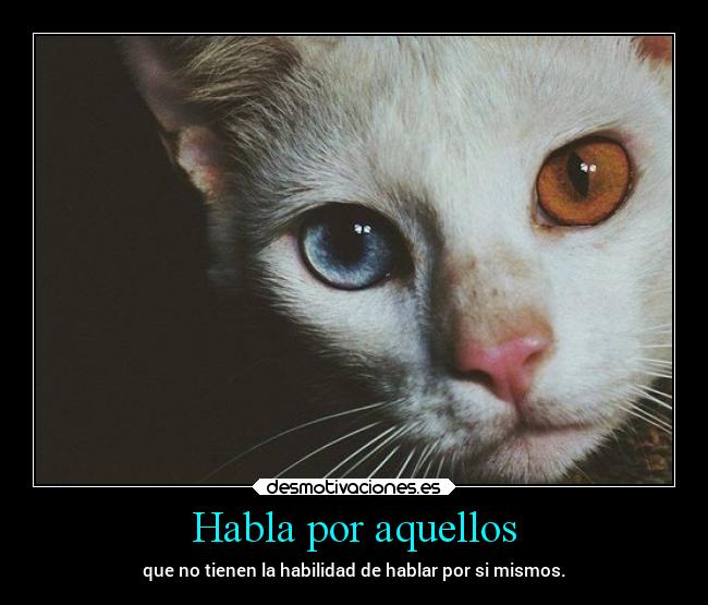 carteles animales desmotivaciones