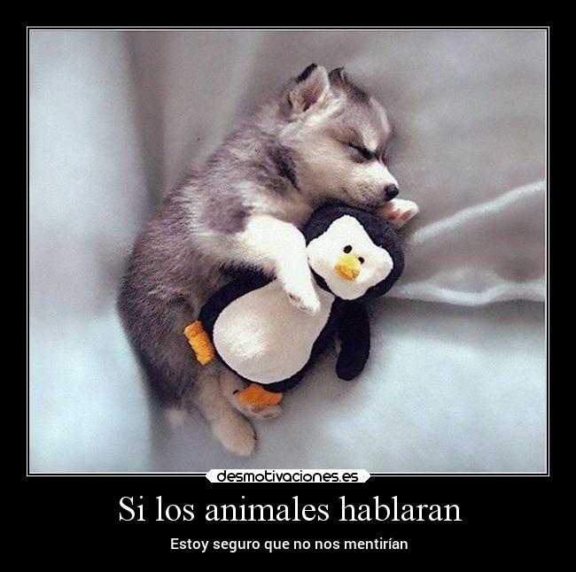 Si los animales hablaran - Estoy seguro que no nos mentirían