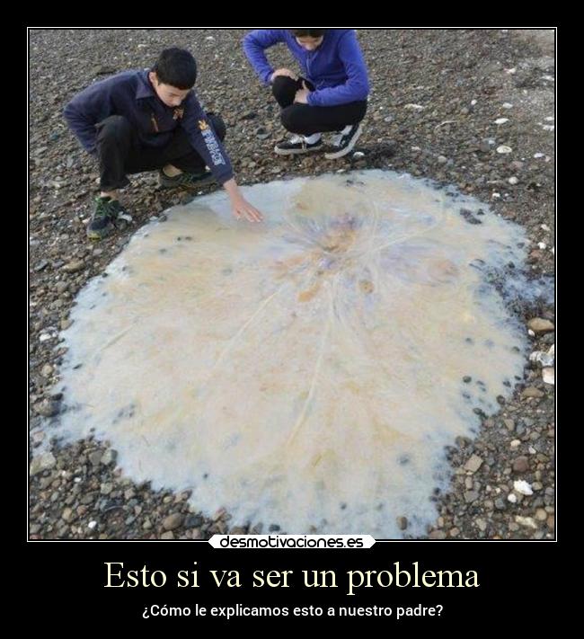 carteles ayuda desmotivaciones