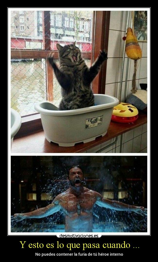 carteles cine fans desmotivaciones