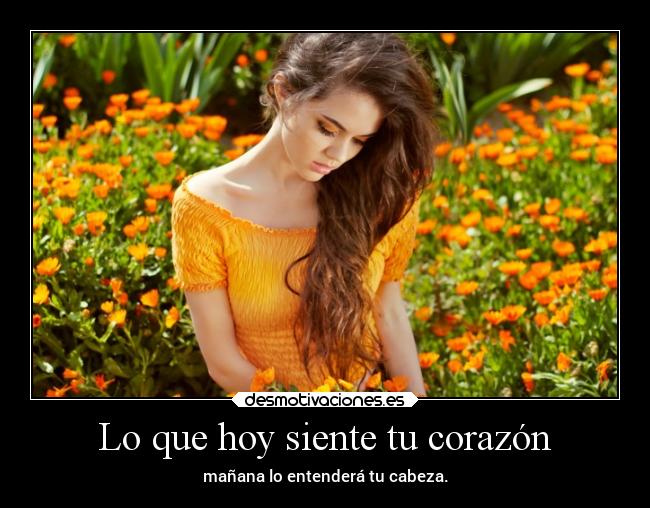 carteles corazon corazon cabeza entender desmotivaciones