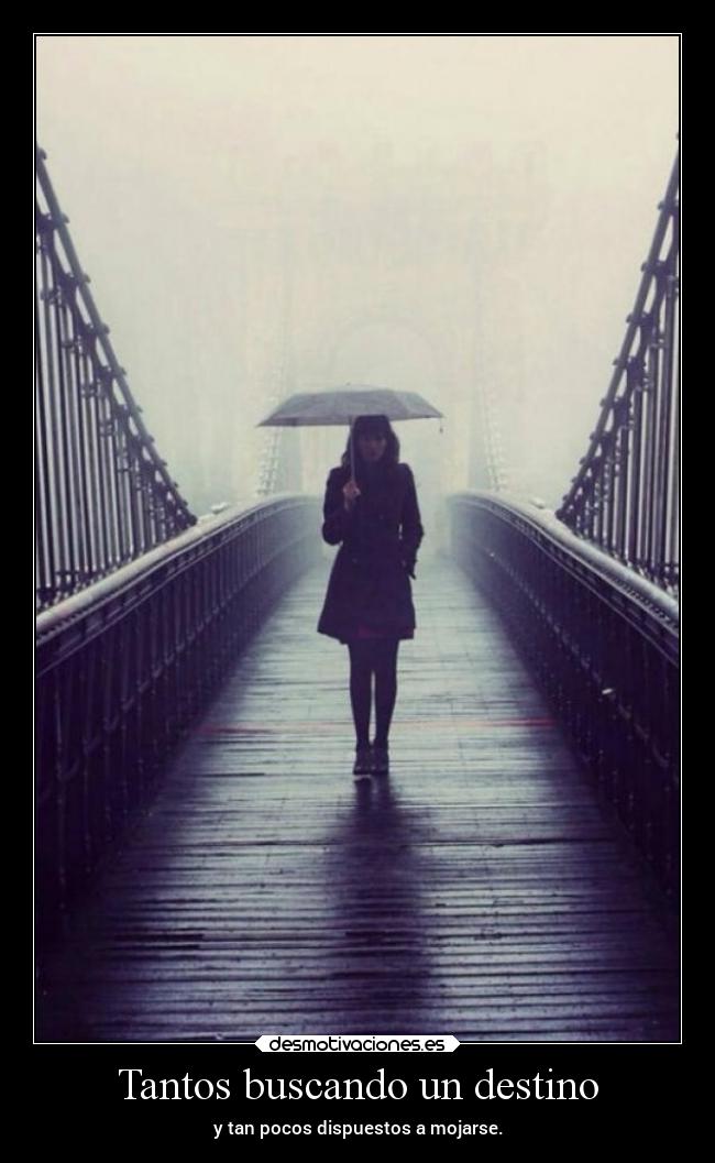 Tantos buscando un destino - 