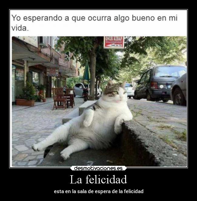 La felicidad - esta en la sala de espera de la felicidad