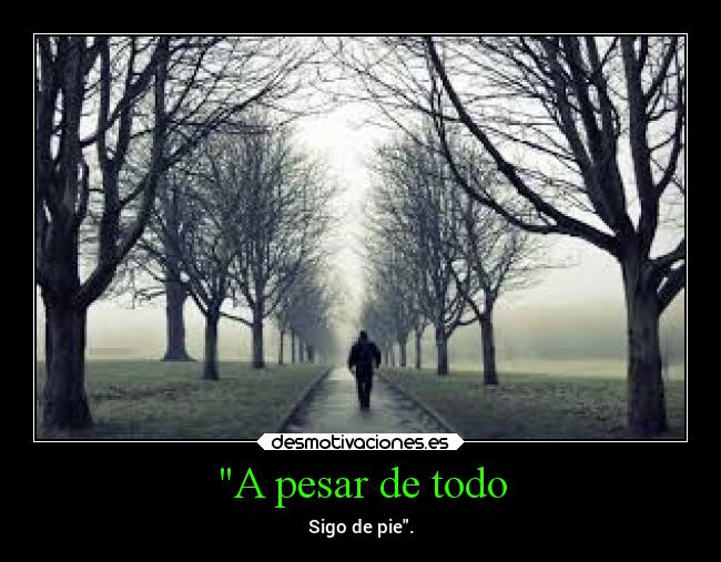 A pesar de todo - Sigo de pie.