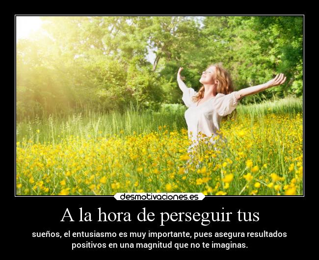 carteles frases desmotivaciones